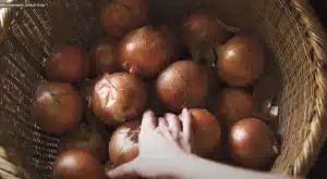 籠に入った玉ねぎ