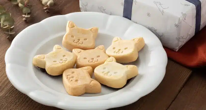 フィナンシェパイ6個入りの全体像。