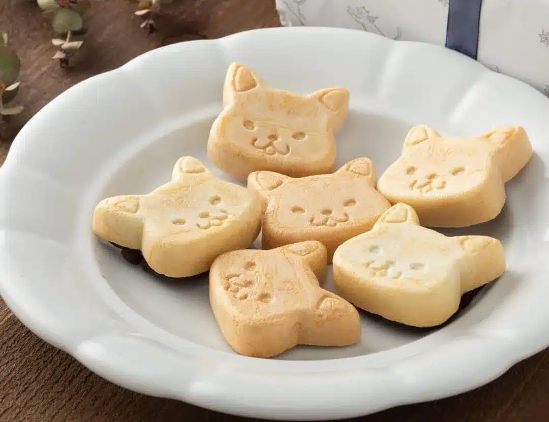 メゾンシャトンズの猫型フィナンシェパイ