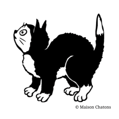 SEO記事執筆者アイコン