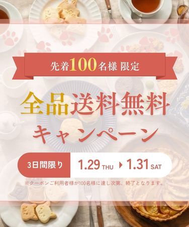 送料無料キャンペーン