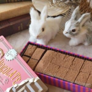 【冷凍発送】ノンシュガー生チョコ缶