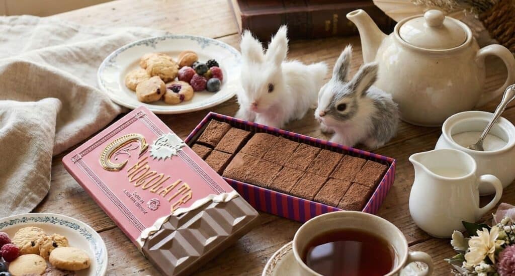 生チョコを囲んでティータイムを楽しんでいる。